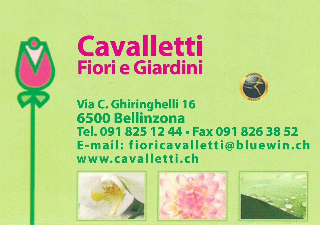 1224_Cavallett