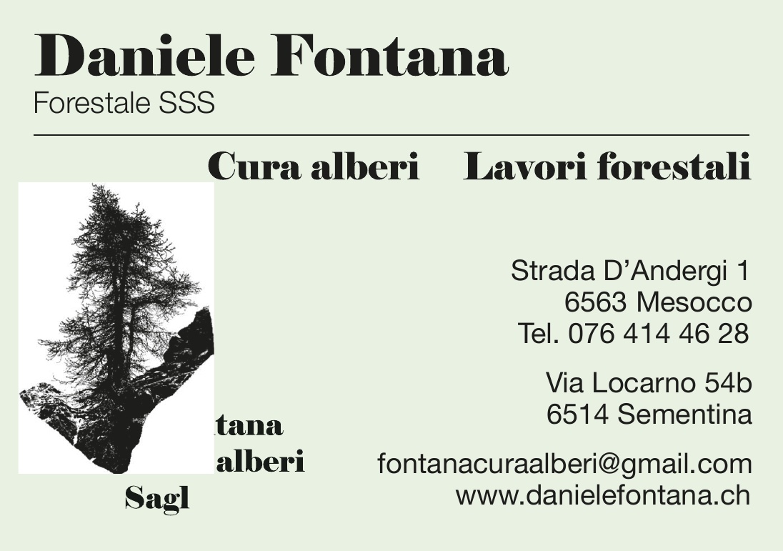 125_Fontana_Daniele_1